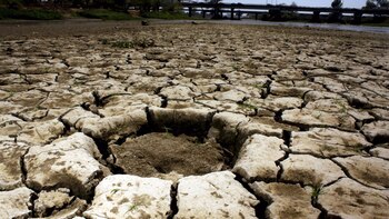 Abasto de agua en Jalisco: