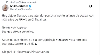 Chávez sostuvo que su salida no es definitiva y anticipó su regreso a su escaño en el Senado. (Crédito: X | @AndreaChavezTre)