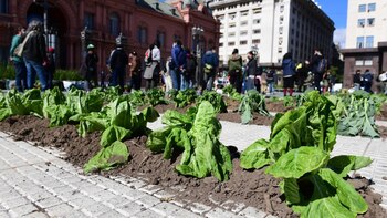 Sorpresiva protesta en Plaza de