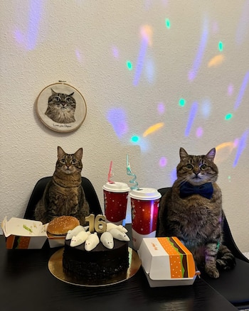 Stephan compartió su cumpleaños con