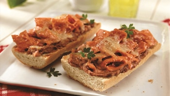 El origen de los tecolotes