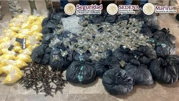 Los detenidos y los objetos