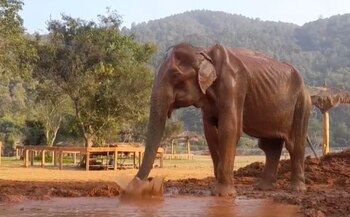 Por primera vez en más