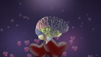 Cuáles son los beneficios para