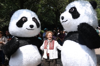 Xin Xin Panda Gigante