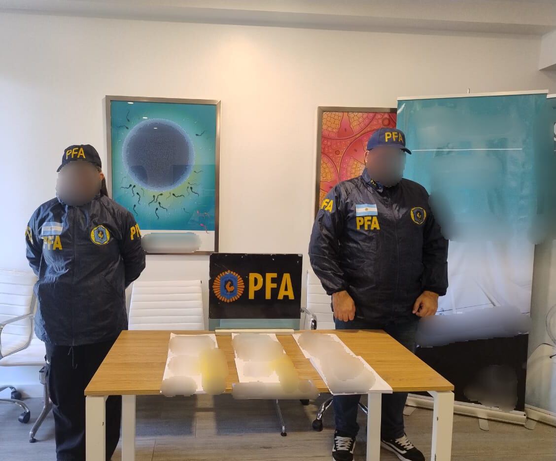 El material incautado en el procedimiento