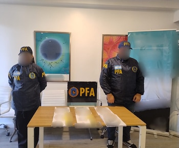 El material incautado en el