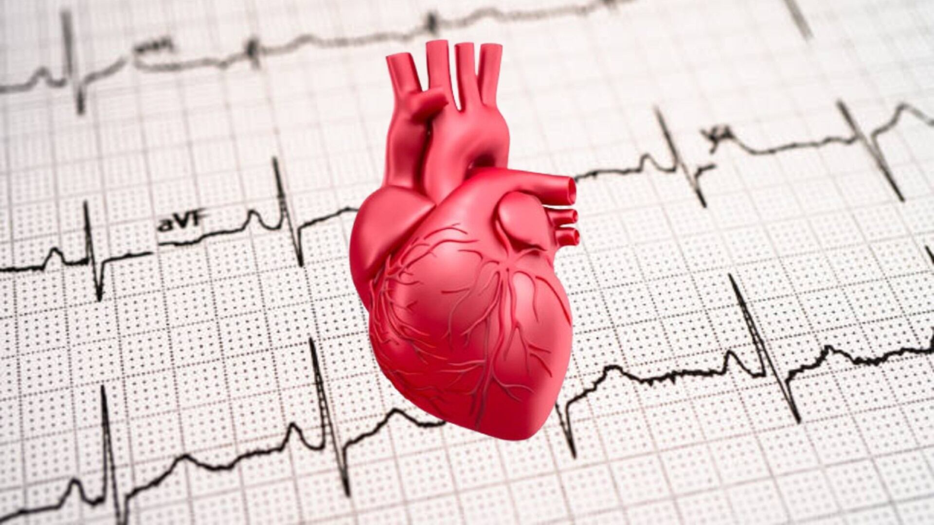 Corazón. Diseño: (Jesús Tovar Sosa/Infobae)