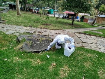 Desde el 9 de septiembre,