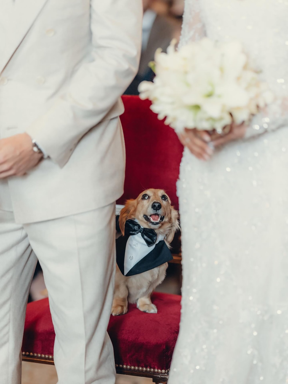 XEMUF6F5SBHQVBDEENZOENSZNE