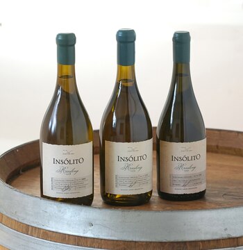 Los 50 mejores vinos de 2021- Insólito Riesling - Puertav del Abra