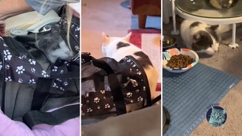 Al inicio Gus huyó de