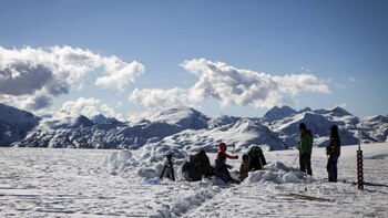 Un estudio sugiere que los