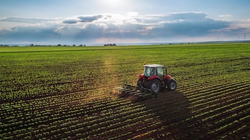 Según las ramas de actividad, el sector agropecuario lideró la generación de empleo al incorporar 82 mil nuevos puestos formales.