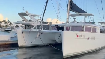 El oso negro que se robó el show en Florida: así fue su visita a un yate de lujo (Captura de pantalla/Tow Boat U.S. Naples and Marco Island)