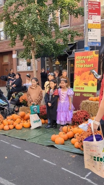 Queens tendrá uno de sus principales encuentros en el Open Street de Austin Street, con actividades gratuitas previstas para el 25 de octubre.
