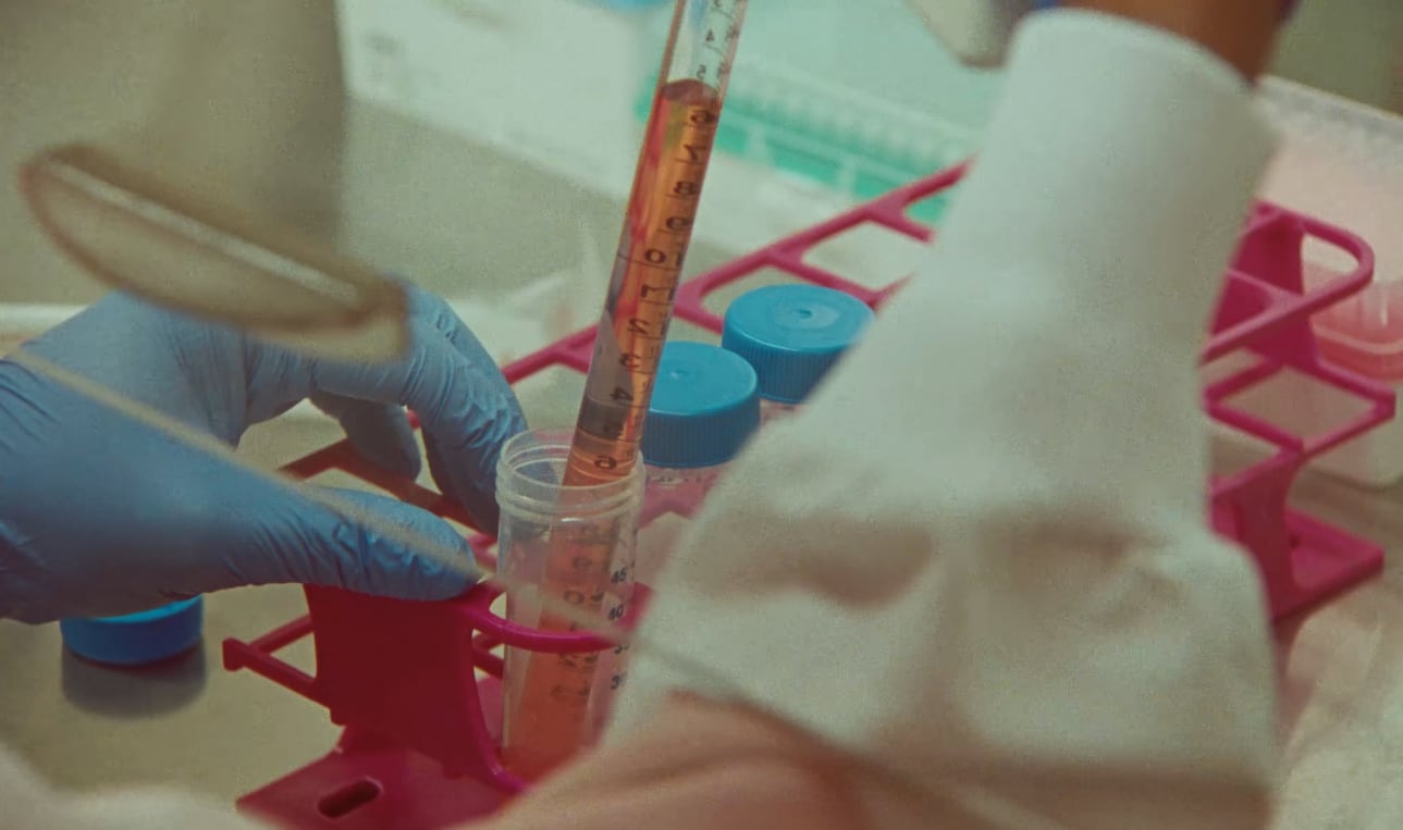 Anthropic indicó que la participación de sus investigadores se limitó a las instrucciones iniciales y a los experimentos de laboratorio. (Anthropic)