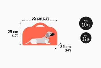 Estas son las condiciones para