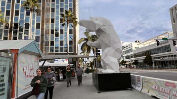Turistas inusualmente abrigados en Miami
