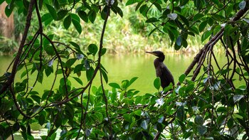 Por su parte, los ministerios