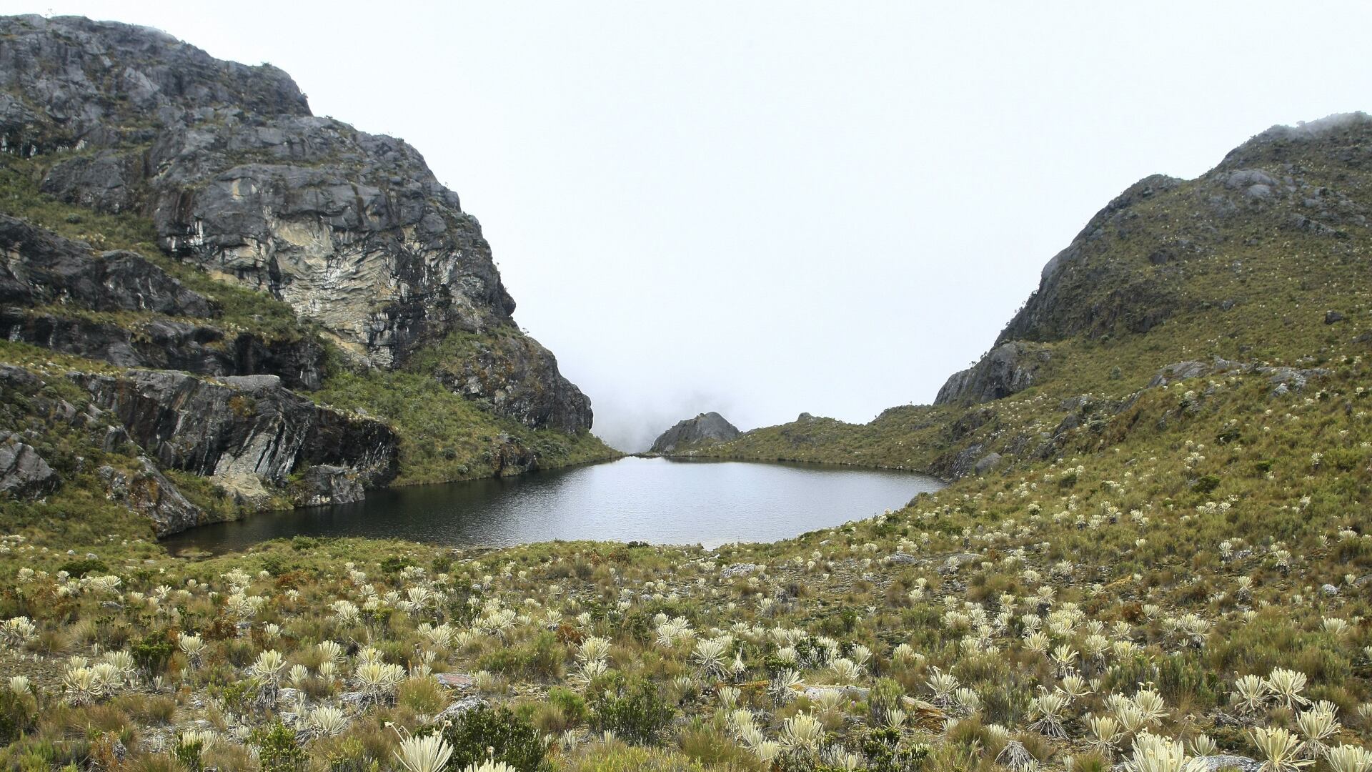 Este lugar está protegido por la ley colombiana - crédito Colprensa
