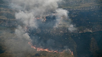 Delegación tiene indicios de que