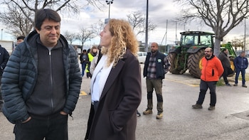 MÉS denunciará en el Consell