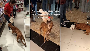 Clientes se unen para comprar