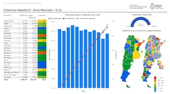 Infografía sobre cobertura de vacunación de Hepatitis B neonatal en Argentina; contiene tabla de provincias, gráfico de barras mensual, mapas de cobertura y porcentajes