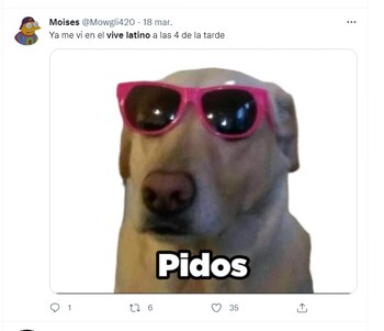 Vive Latino 2022 memes (Foto: