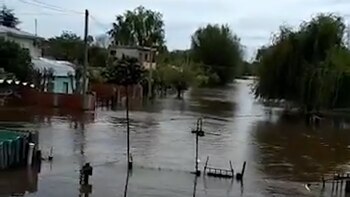 (Capturas de pantalla video: @estefituero)