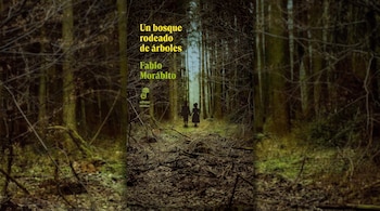 Portada del libro Un bosque rodeado de árboles con el nombre Fabio Morábito y la silueta de dos niños caminando en un bosque.