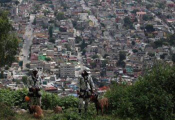 Protección civil informó que han
