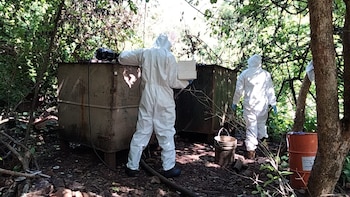 Suman 92 laboratorios clandestinos, 125