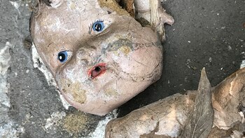 Cuál es el origen de