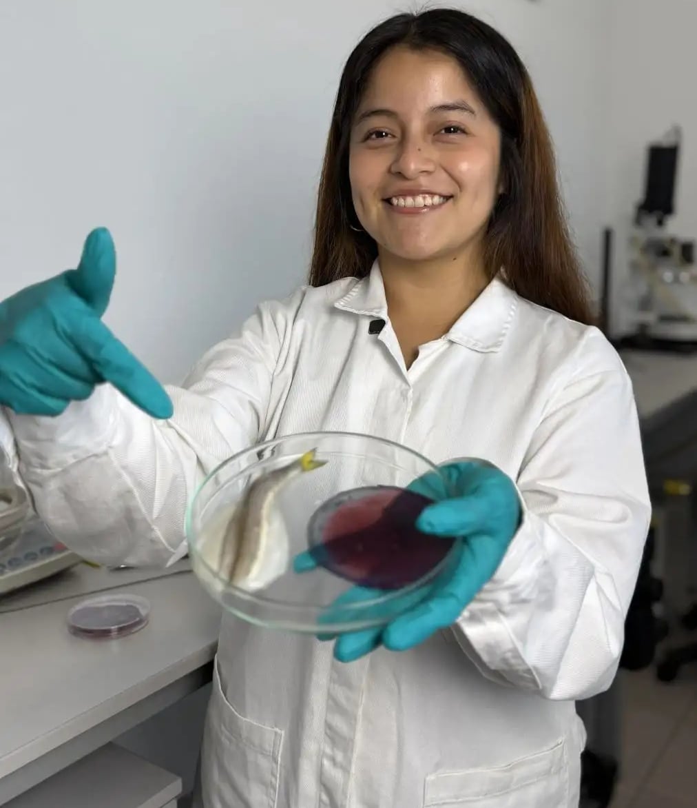 Los usuarios tendrían una herramienta más sencilla para determinar si un alimento aún puede consumirse o si ha llegado el momento de desecharlo. Foto: Andina