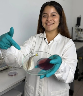 Los usuarios tendrían una herramienta más sencilla para determinar si un alimento aún puede consumirse o si ha llegado el momento de desecharlo.