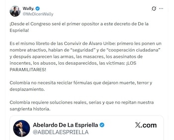 Wally aseguró que el país podría repetir errores históricos - crédito @MeDicenWally/X