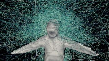 El equipo científico utilizó cámaras