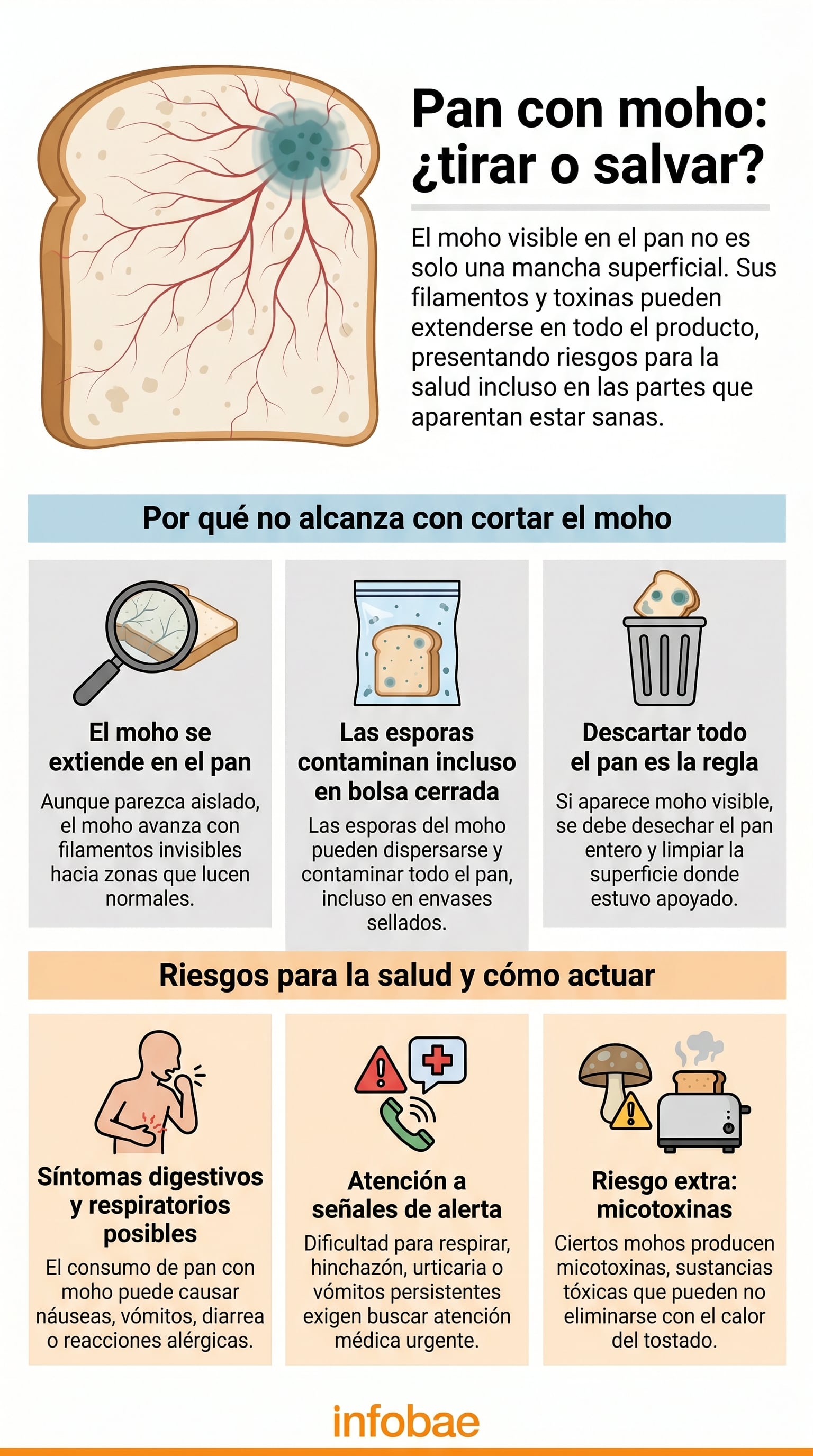 Guías expertas de higiene alimentaria insisten en descartar completamente productos de panadería con moho y limpiar la superficie de contacto para evitar contaminación cruzada - (Imagen Ilustrativa Infobae)