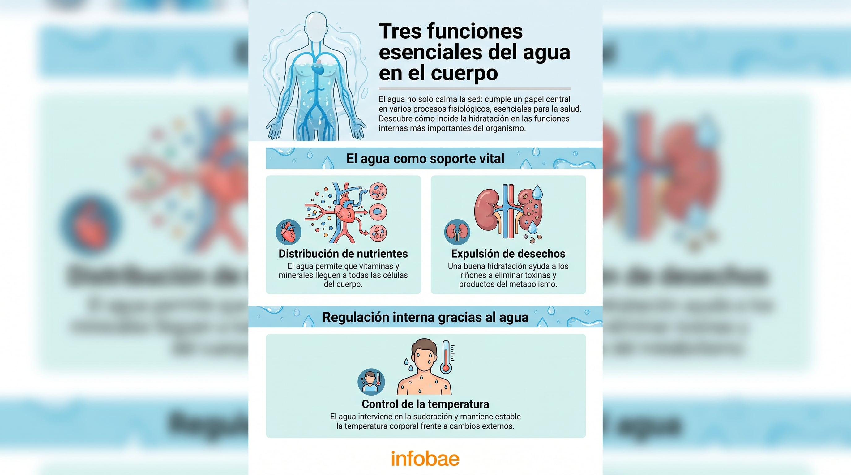 Tres funciones esenciales del agua para el cuerpo humano. (Imagen Ilustrativa Infobae)