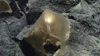 Encontraron un misterioso orbe dorado bajo el mar en Alaska y el enigma duró meses: qué era