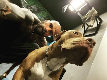 babo cartel de santa (Foto: