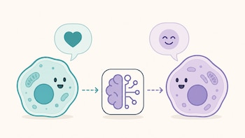 Las células de tu cuerpo ‘hablan’ entre sí y una IA logró traducir su idioma