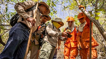 Desde manglares con función vital hasta bosques cubiertos de niebla, equipos especializados libran una lucha constante. Tareas invisibles y vigilancia perpetua sostienen servicios ambientales cruciales para el país (Foto cortesía MARN)