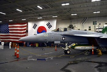 Un avión F-18 en el