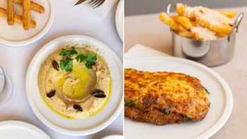 Platos de autor y el