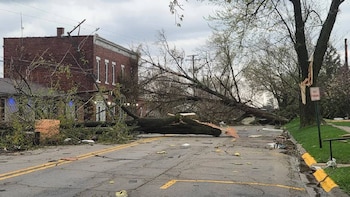 Alerta meteorológica en Illinois: un tornado obliga al confinamiento total de Lena