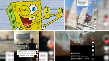 Así son algunos de los