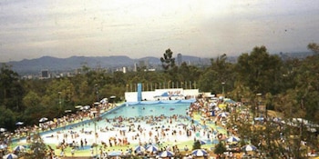 El Rollo del Bosque de